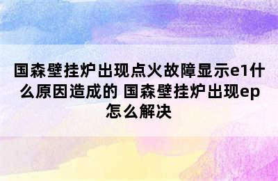 国森壁挂炉出现点火故障显示e1什么原因造成的 国森壁挂炉出现ep怎么解决